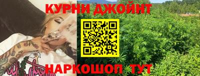 ПСИЛОЦИБИНОВЫЕ ГРИБЫ Кандалакша