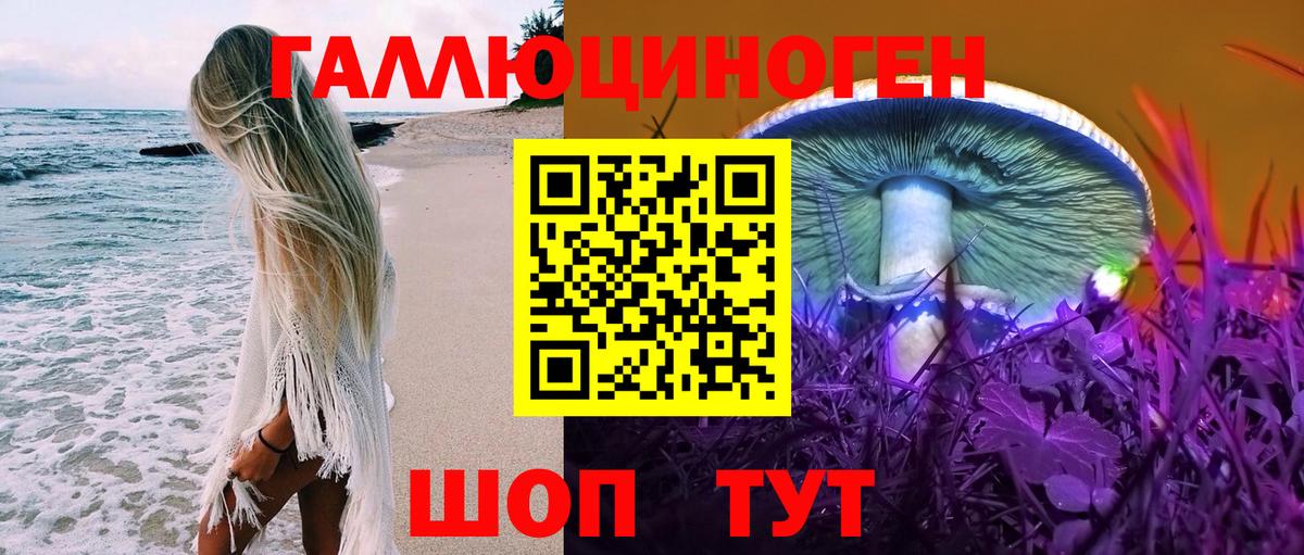 Псилоцибиновые грибы Cubensis Краснознаменск