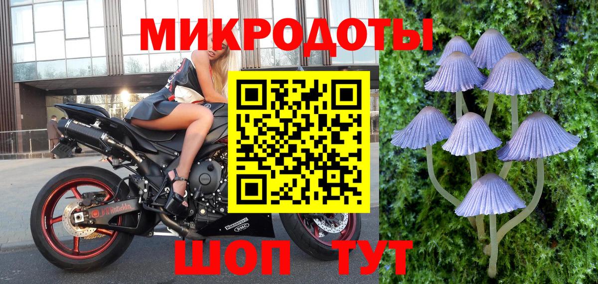 Галлюциногенные грибы Psilocybine cubensis  Вход с VPN  Краснознаменск 